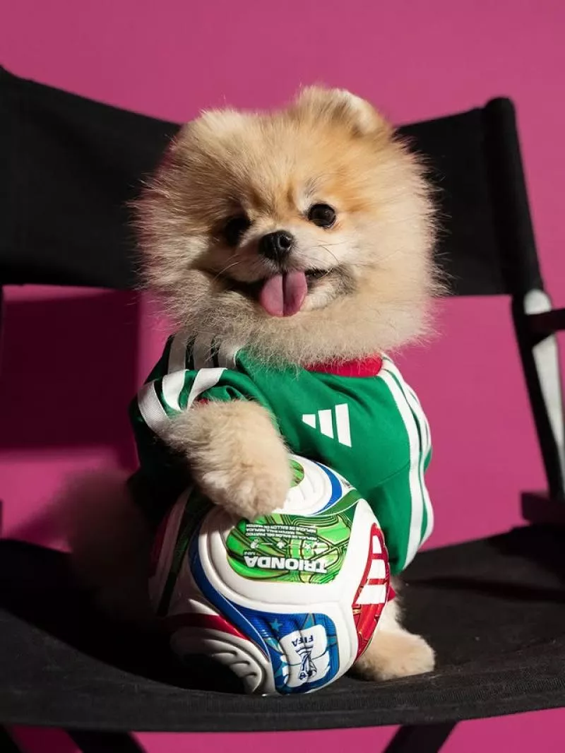 Quand adidas dévoile des maillots de foot... pour les animaux de compagnie
