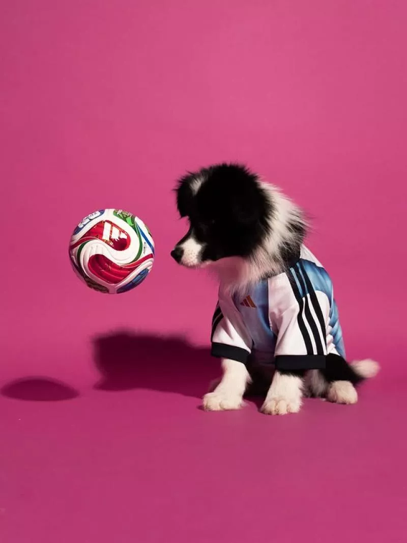 Quand adidas dévoile des maillots de foot... pour les animaux de compagnie